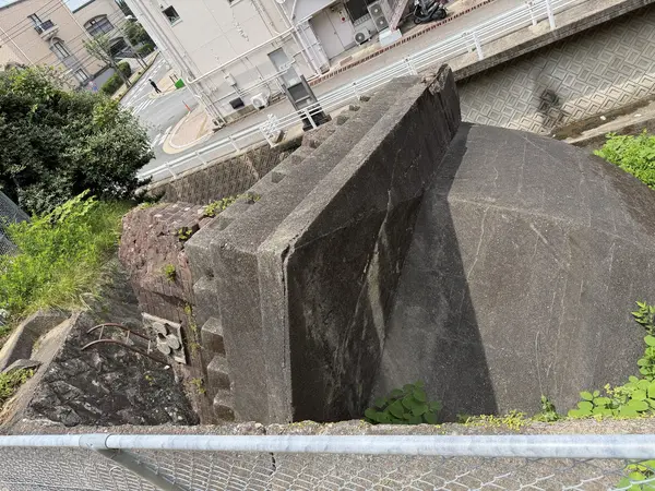 Step photo