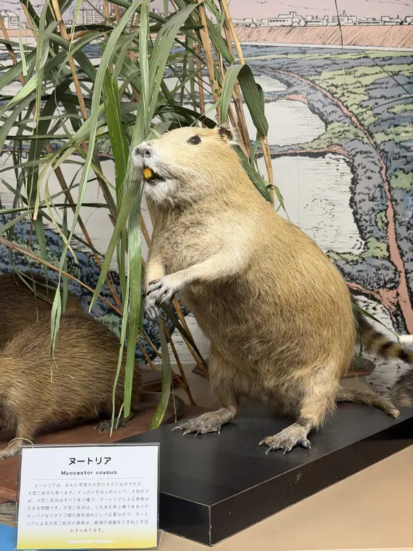 Step photo