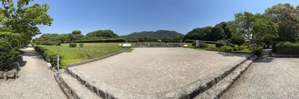 Step photo