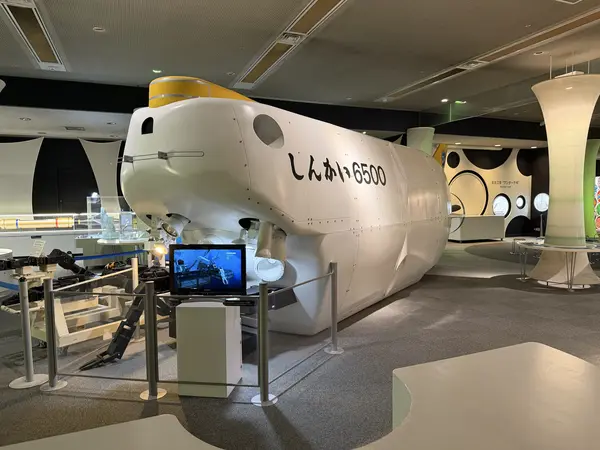 Step photo