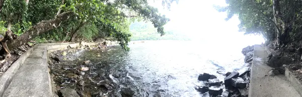 Step photo