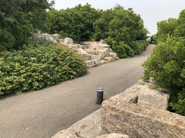Step photo