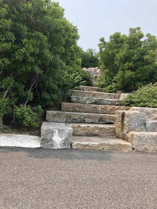 Step photo