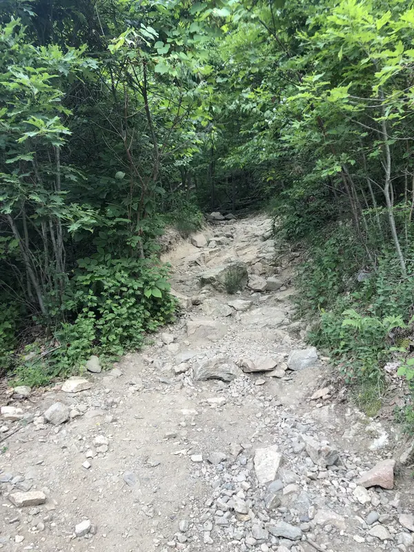 Step photo