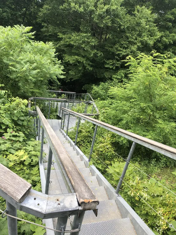 Step photo
