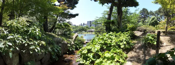 Step photo