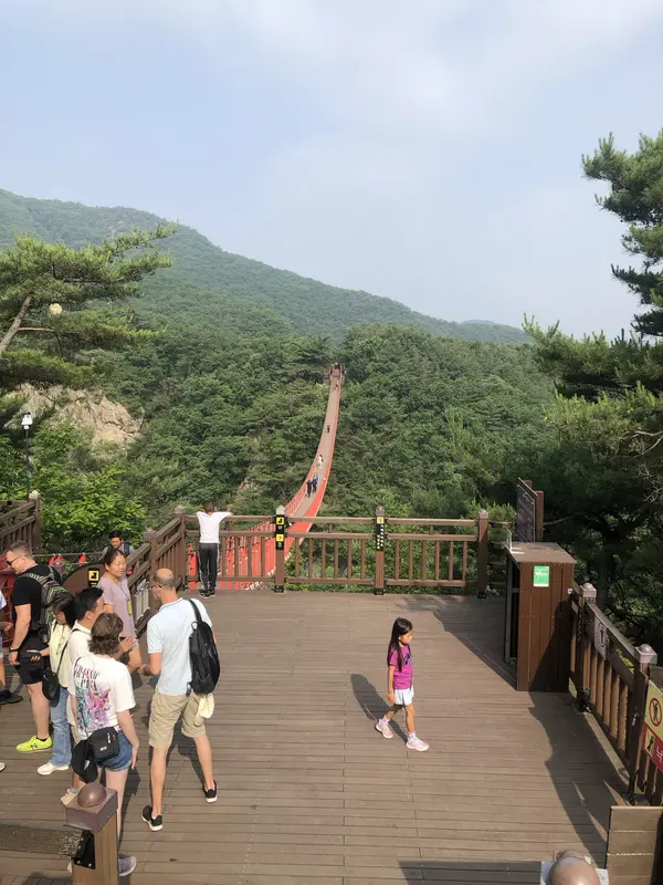 Step photo