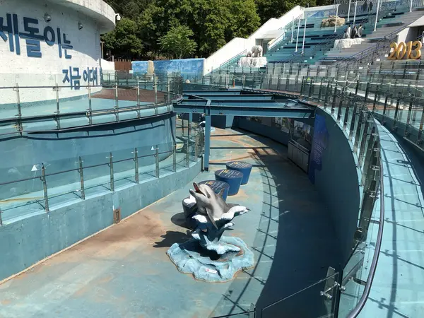 Step photo