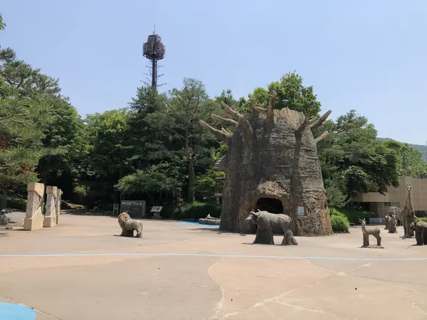 Step photo