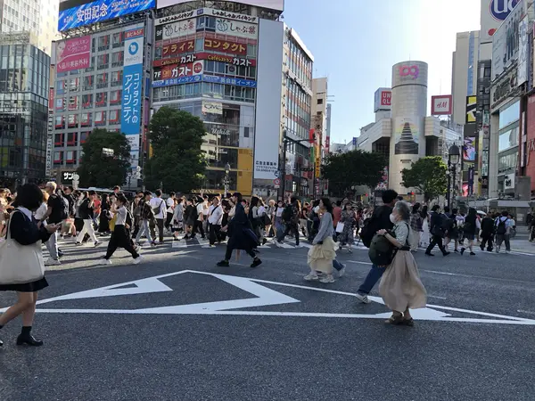 Step photo