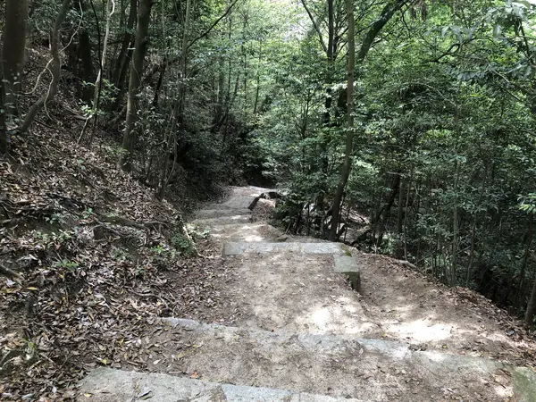 Step photo