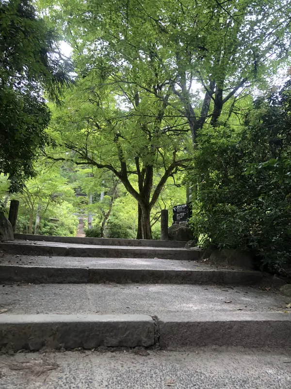 Step photo