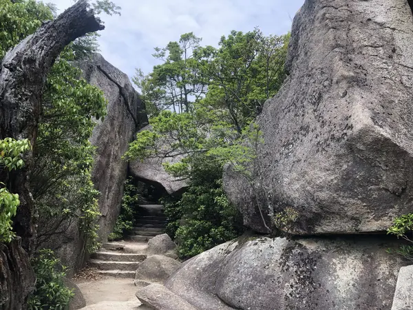 Step photo