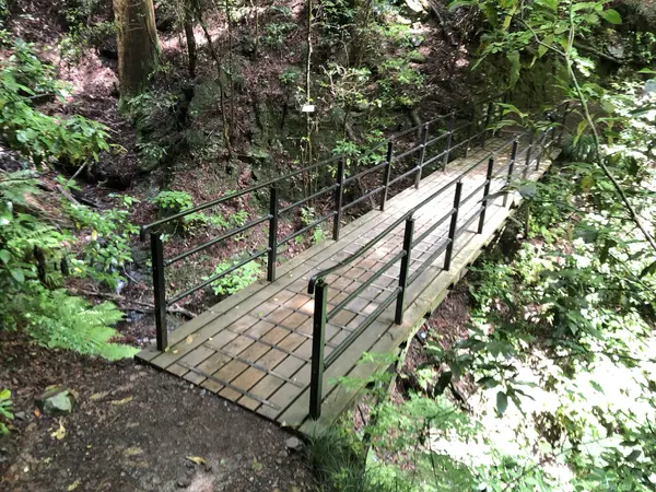 Step photo