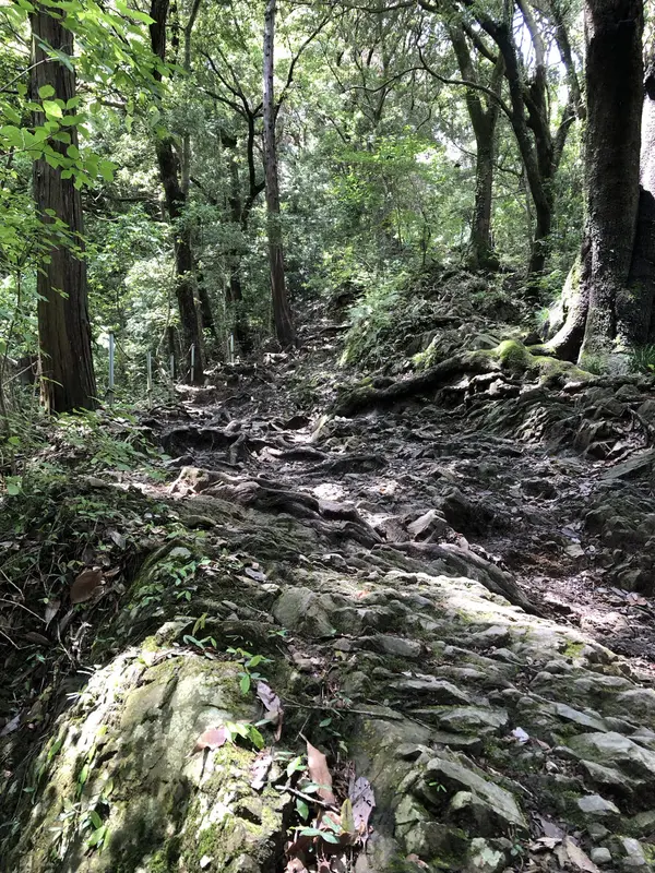 Step photo