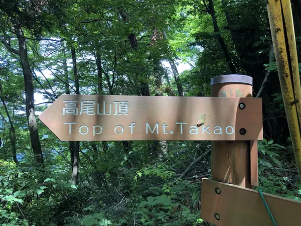 Step photo