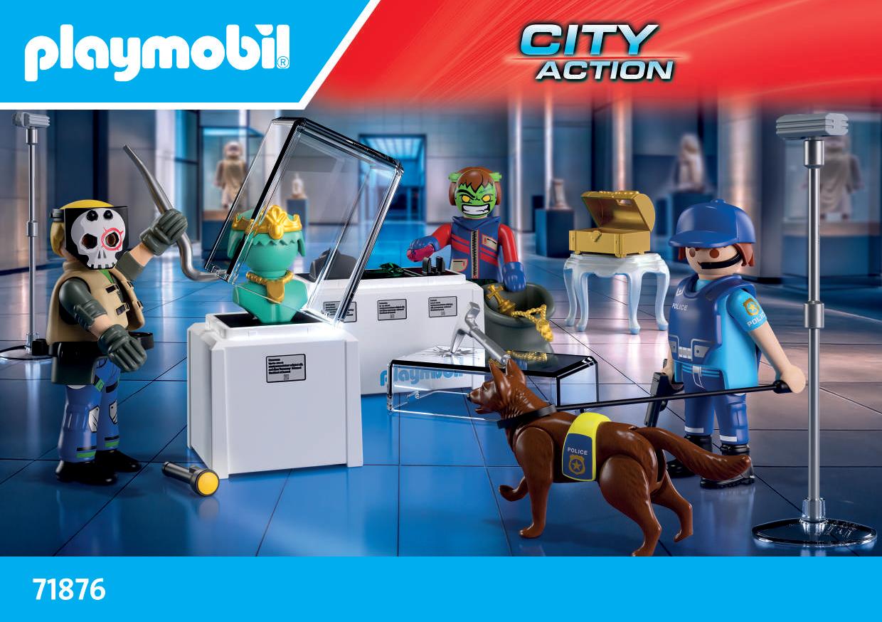 Preview for set 71876